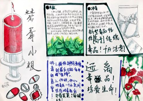 無(wú)毒青春 健康生活 福州教院二附中開(kāi)展6.26禁毒教育活動(dòng)